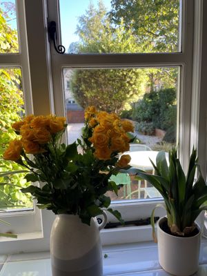 Photo 1- click for photo gallery